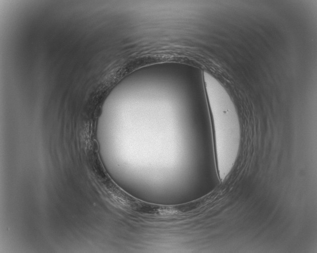 X0000057560605200509160812