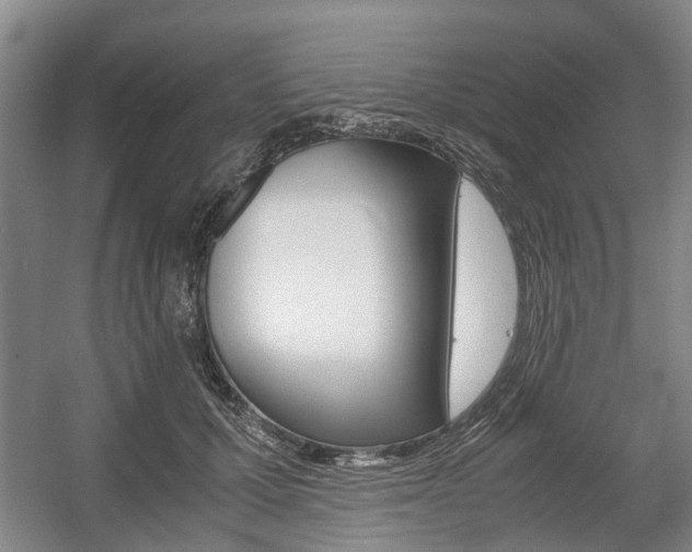 X0000057560607200509160812