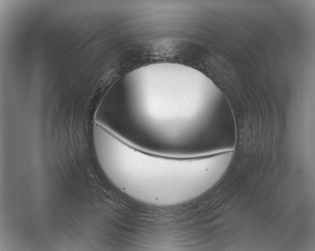 X0000057560608200509160812
