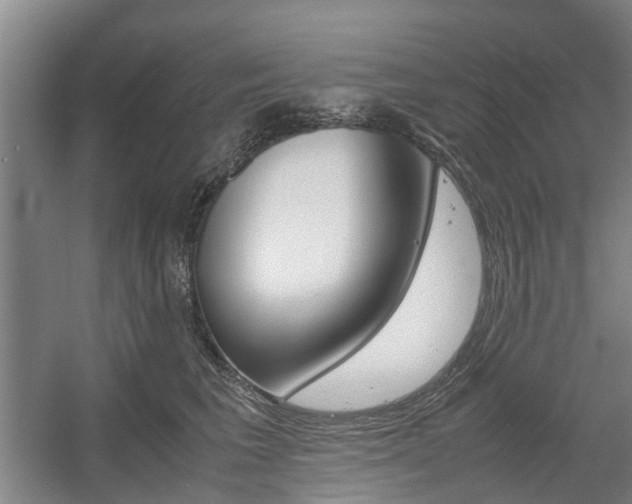 X0000057560613200509160812