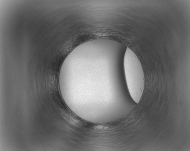 X0000057560614200509160812