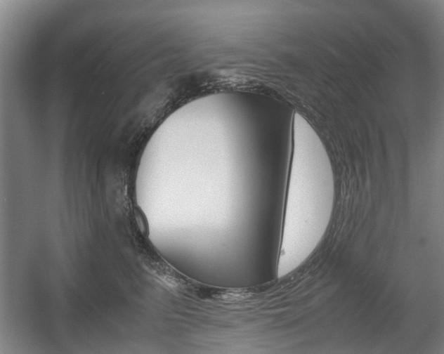 X0000057560615200509160812