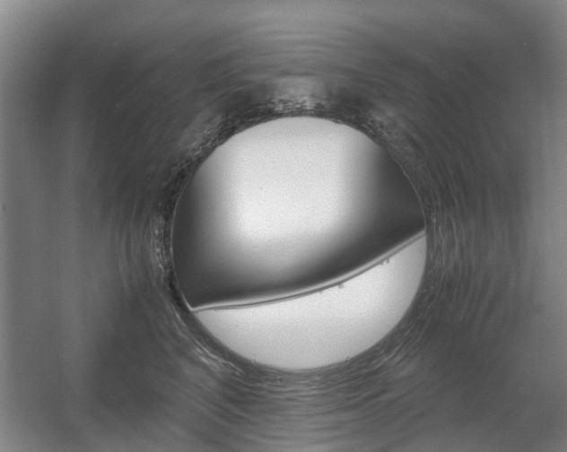 X0000057560616200509160812
