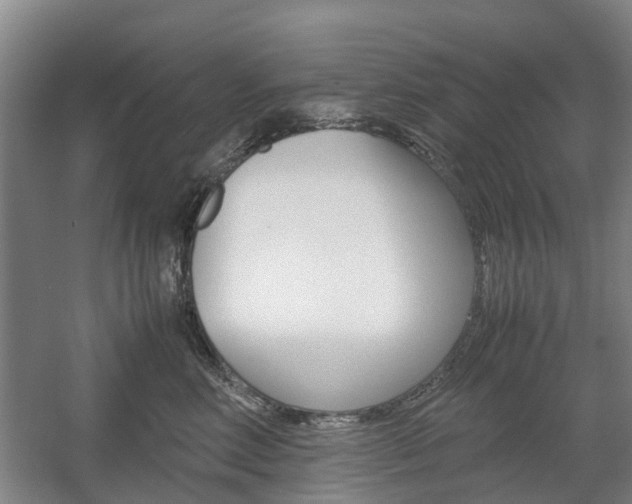 X0000057560618200509160812