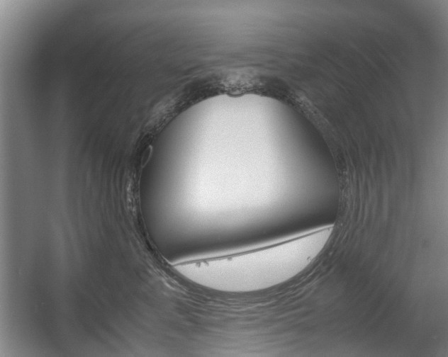 X0000057560619200509160812
