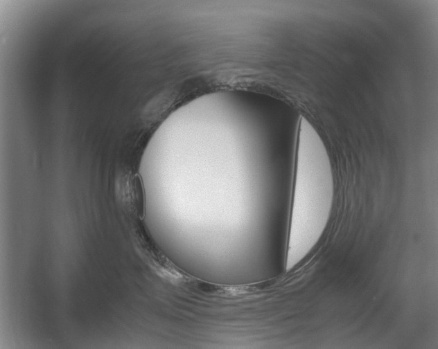 X0000057560623200509160812