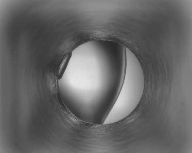 X0000057560624200509160812