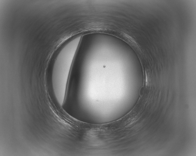 X0000057560627200509160811