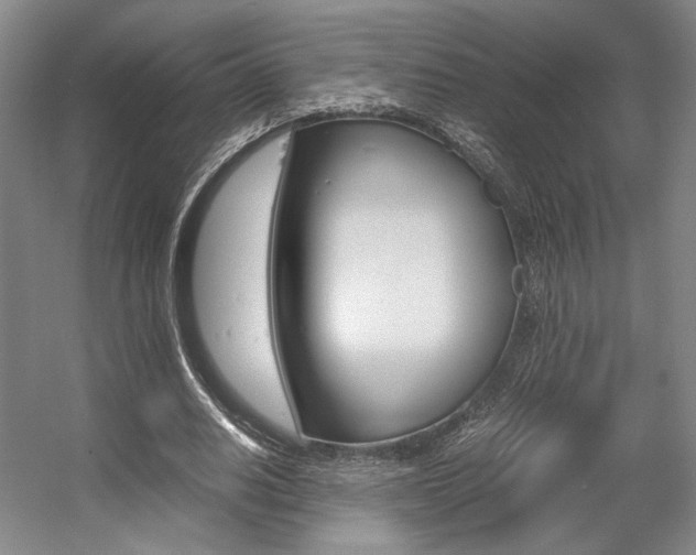 X0000057560630200509160811