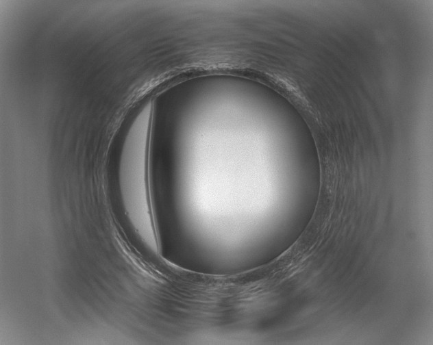 X0000057560631200509160811