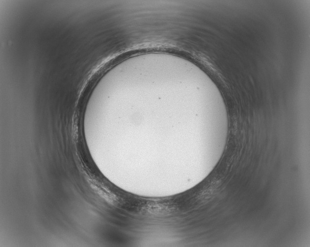 X0000057560632200509160811