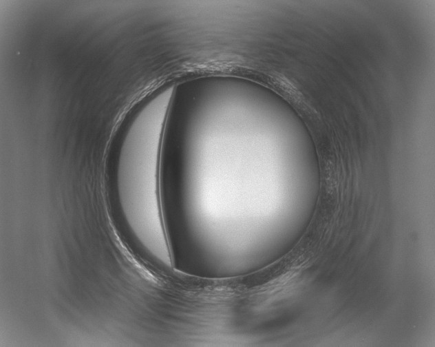 X0000057560634200509160811