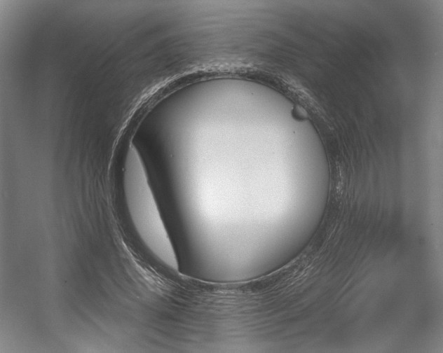 X0000057560636200509160811