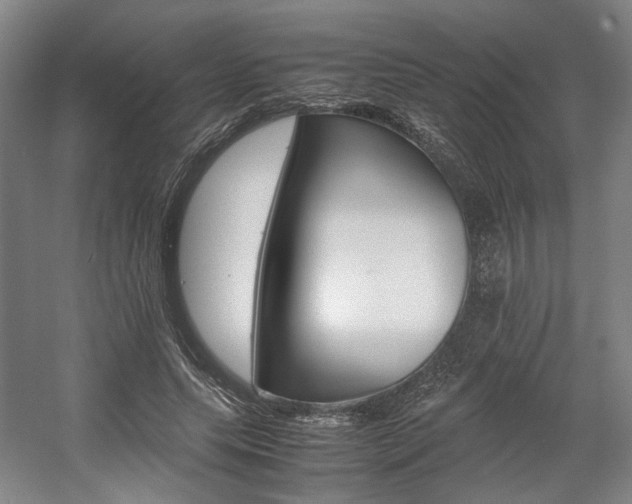 X0000057560639200509160811