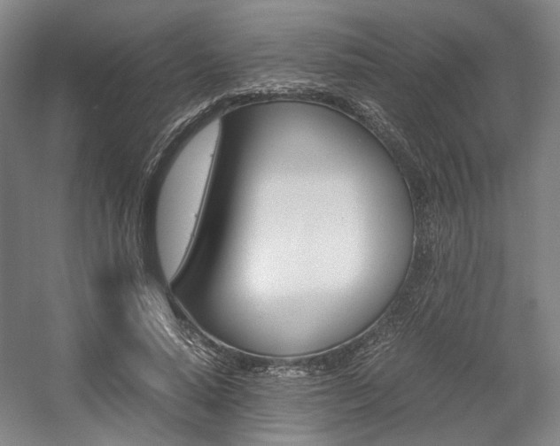 X0000057560640200509160811