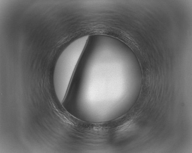 X0000057560641200509160811