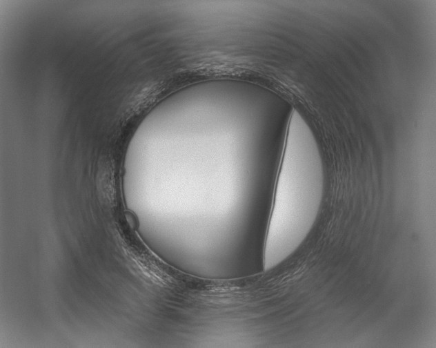 X0000057560642200509160811