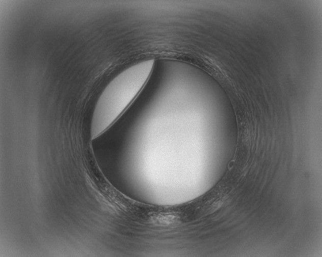 X0000057560643200509160811