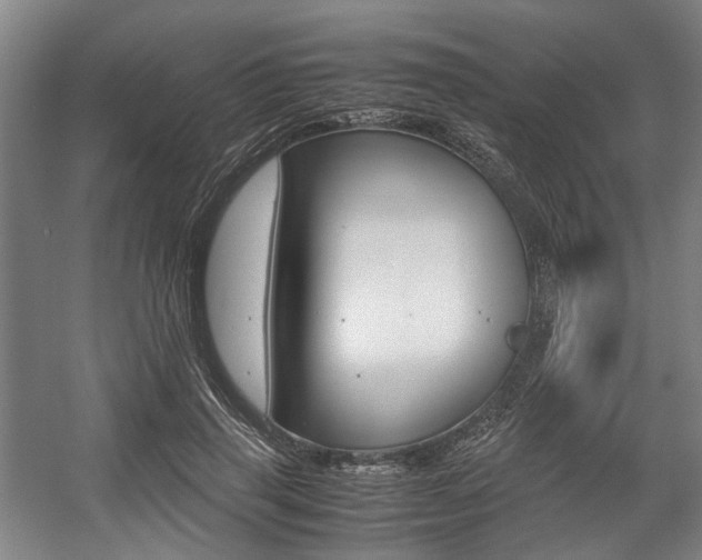 X0000057560645200509160811