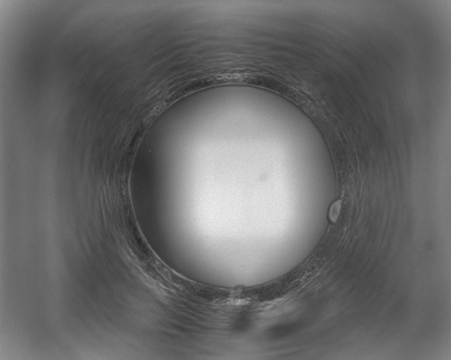 X0000057560647200509160811