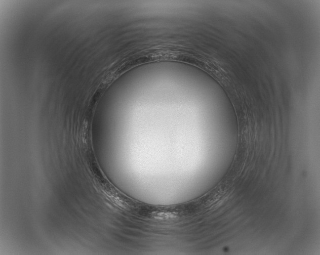 X0000057560649200509160811