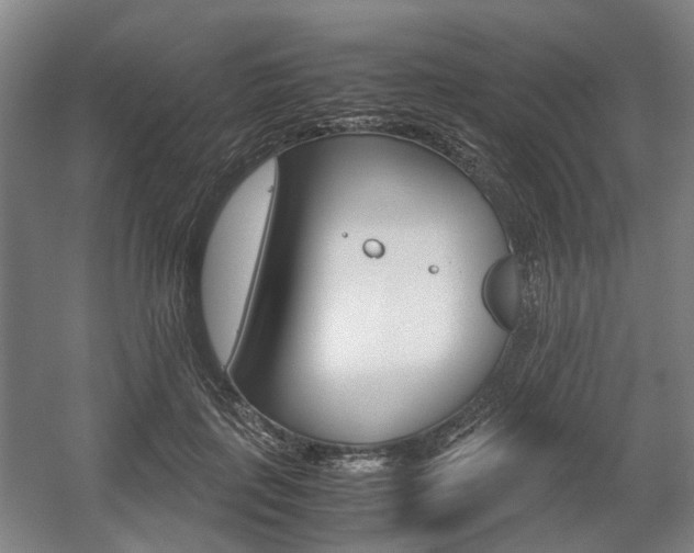 X0000057560651200509160811