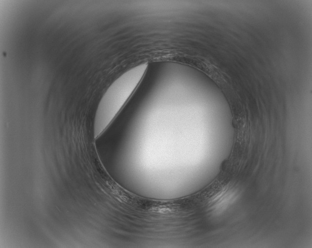 X0000057560655200509160811