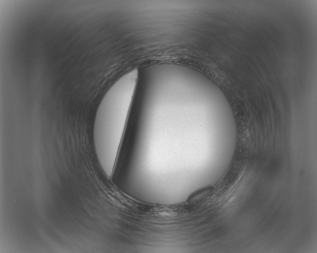 X0000057560658200509160811
