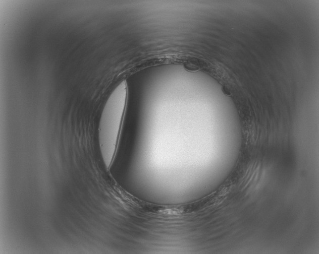 X0000057560660200509160812