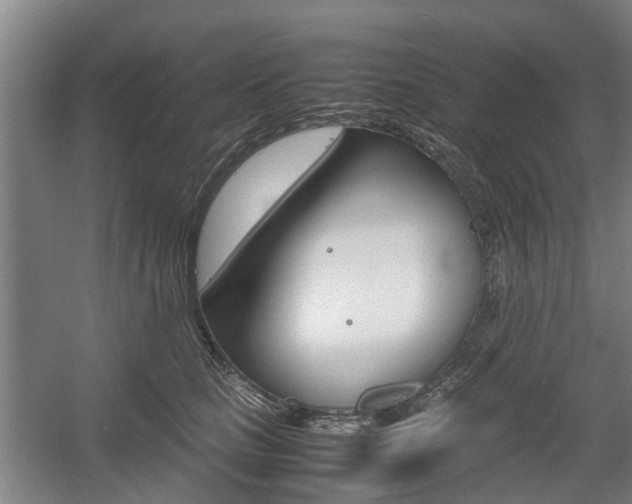 X0000057560661200509160812