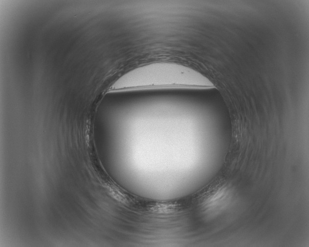 X0000057560664200509160812
