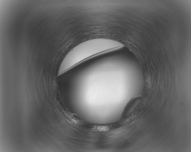 X0000057560665200509160812