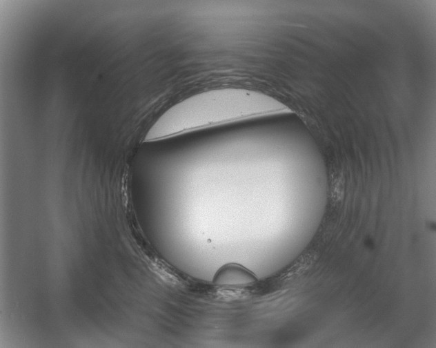 X0000057560666200509160812