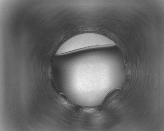X0000057560669200509160812