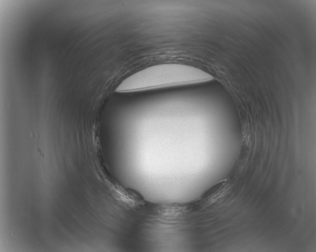 X0000057560670200509160812
