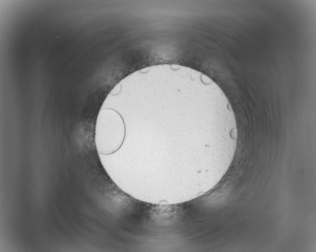 X0000057560672200509160812