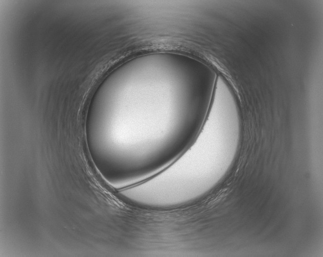 X0000057560673200509160811