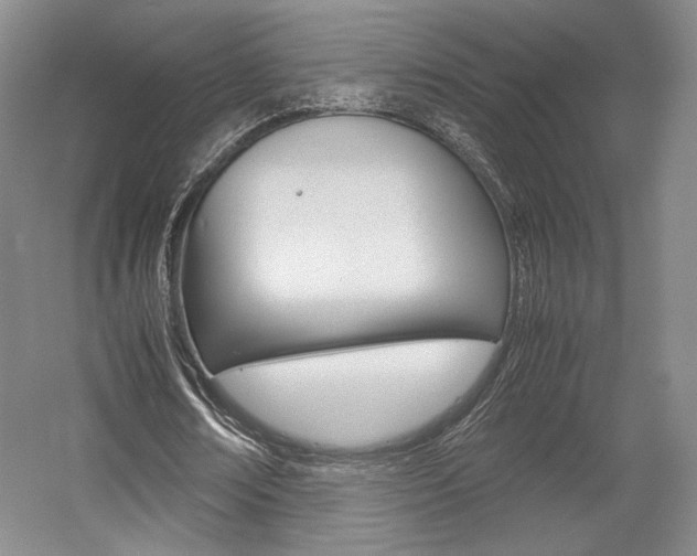 X0000057560674200509160811