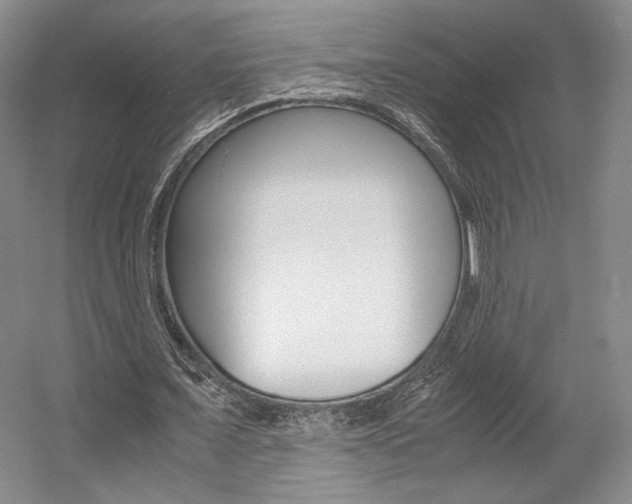 X0000057560675200509160811