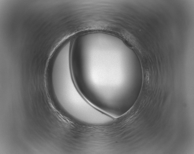 X0000057560676200509160811