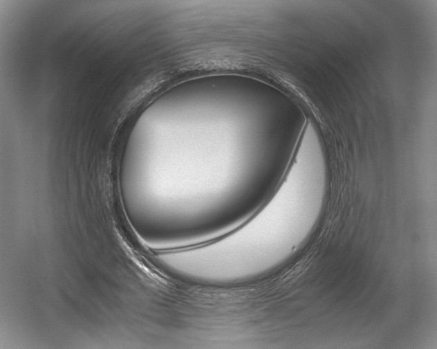 X0000057560677200509160811