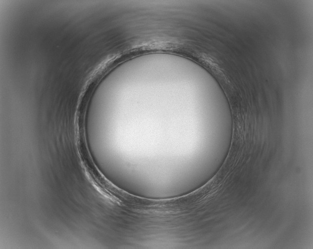 X0000057560678200509160811