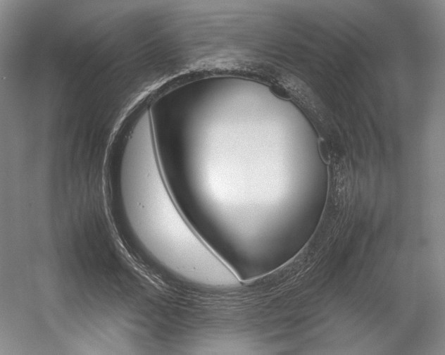 X0000057560680200509160811