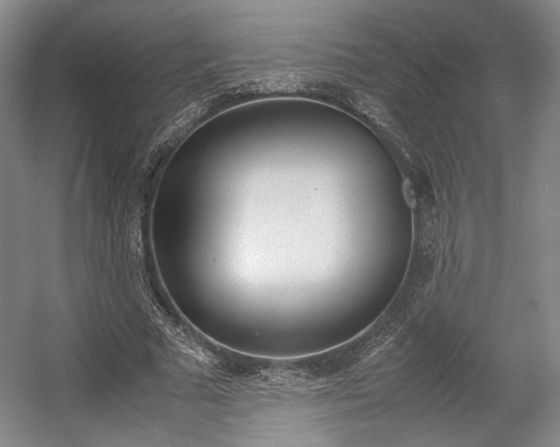 X0000057560681200509160811