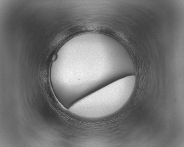 X0000057560683200509160811