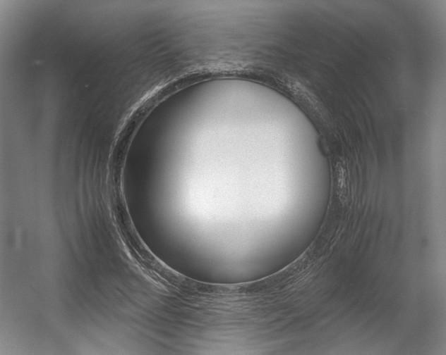 X0000057560684200509160811