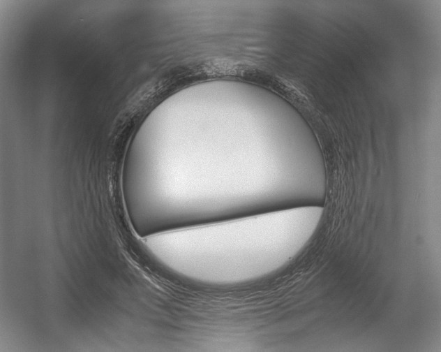 X0000057560687200509160811