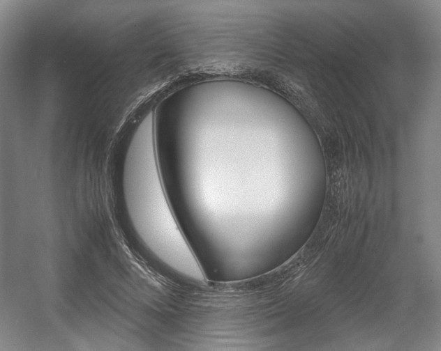 X0000057560688200509160811
