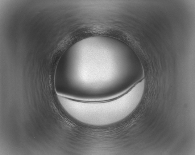 X0000057560689200509160811