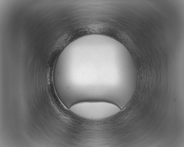 X0000057560694200509160811